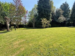 Photo 15- click for photo gallery